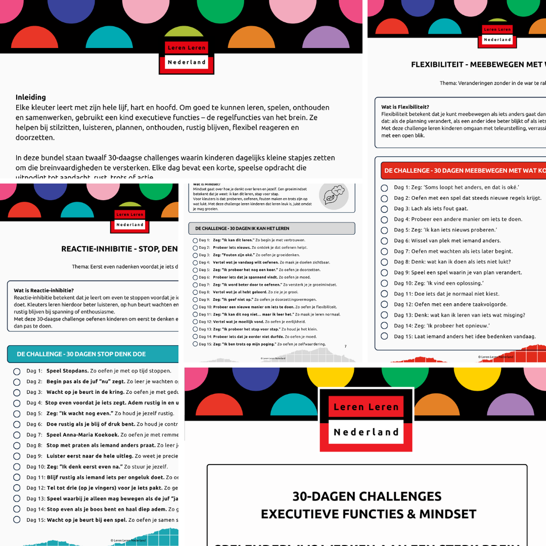 PDF - 30-dagen Challenge EF en Mindset - Groep 1-2